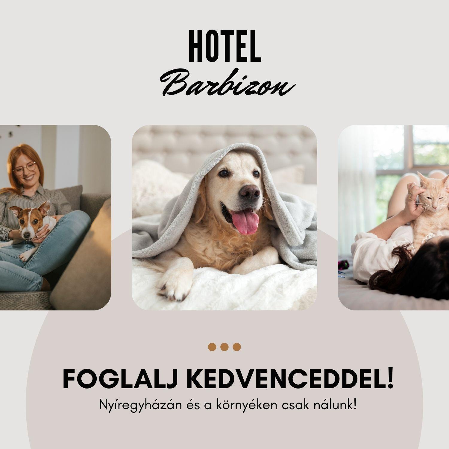 Hotel Barbizon Nyíregyháza 外观 照片