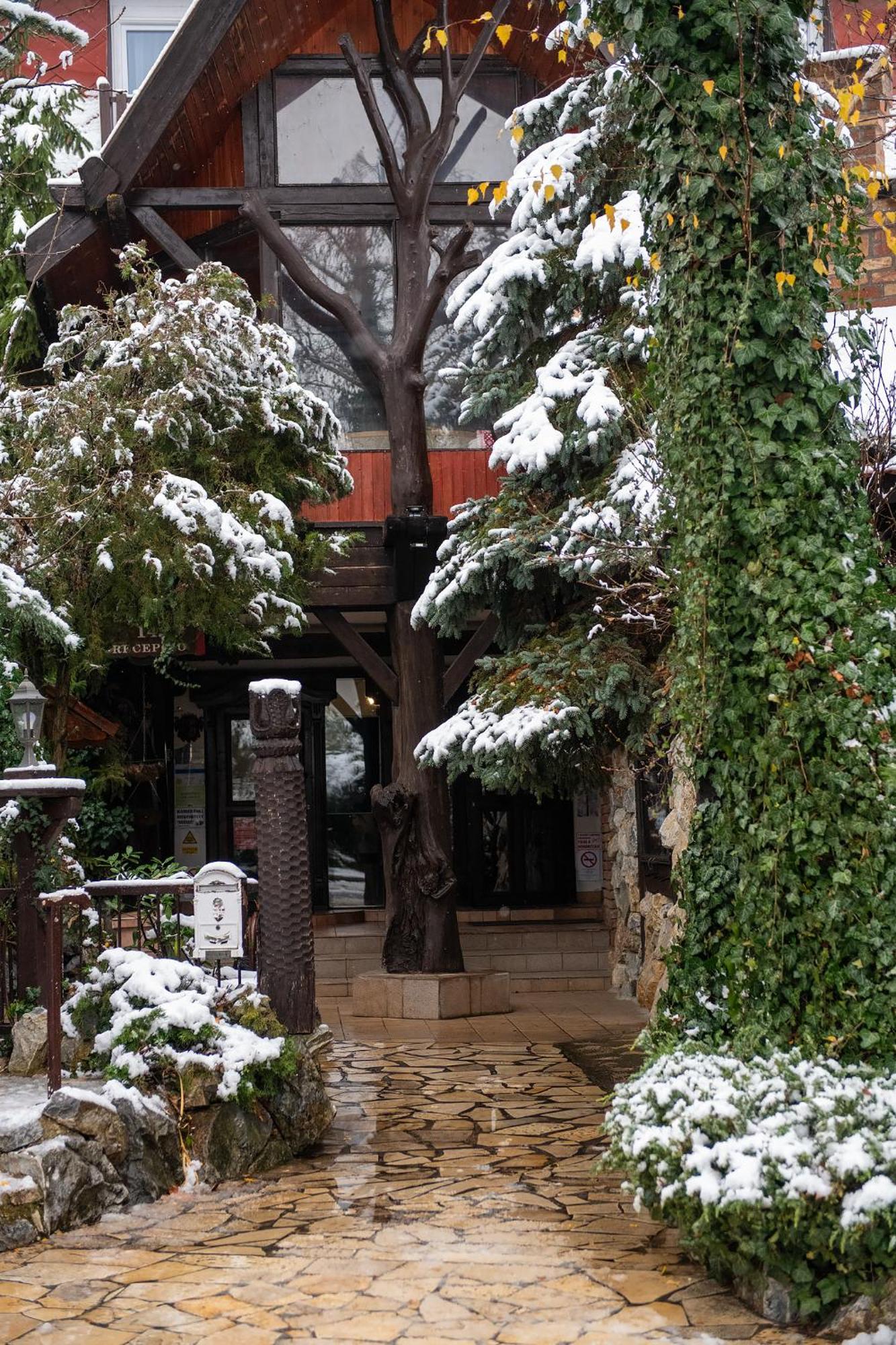 Hotel Barbizon Nyíregyháza 外观 照片