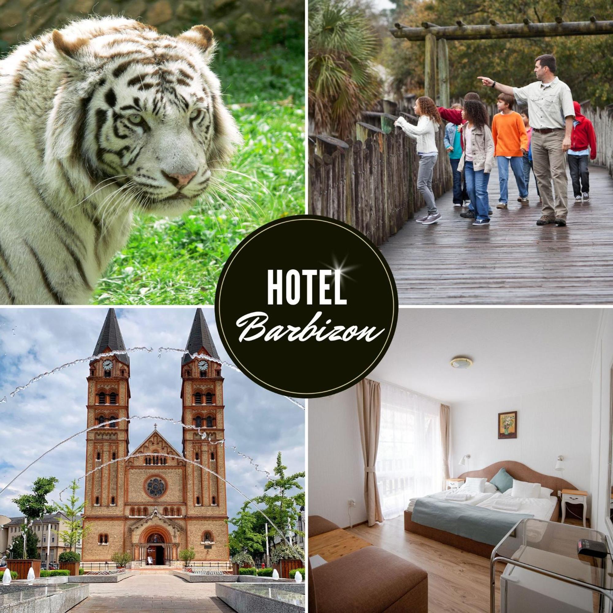 Hotel Barbizon Nyíregyháza 外观 照片